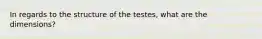 In regards to the structure of the testes, what are the dimensions?