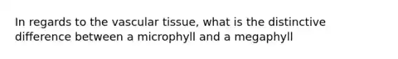 In regards to the vascular tissue, what is the distinctive difference between a microphyll and a megaphyll