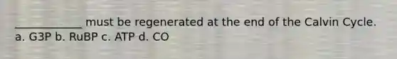 ____________ must be regenerated at the end of the Calvin Cycle. a. G3P b. RuBP c. ATP d. CO