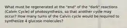 What must be regenerated at the "end" of the "dark" reactions (Calvin Cycle) of photosynthesis, so that another cycle may occur? How many turns of the Calvin cycle would be required to synthesize 4 glucose molecules?