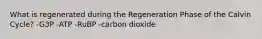 What is regenerated during the Regeneration Phase of the Calvin Cycle? -G3P -ATP -RuBP -carbon dioxide