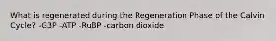 What is regenerated during the Regeneration Phase of the Calvin Cycle? -G3P -ATP -RuBP -carbon dioxide