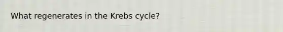 What regenerates in the Krebs cycle?