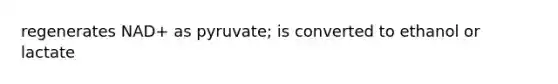 regenerates NAD+ as pyruvate; is converted to ethanol or lactate