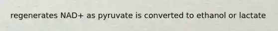 regenerates NAD+ as pyruvate is converted to ethanol or lactate