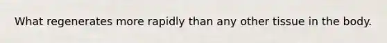 What regenerates more rapidly than any other tissue in the body.