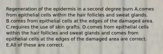 Regeneration of the epidermis in a second degree burn A.comes from epithelial cells within the hair follicles and sweat glands. B.comes from epithelial cells at the edges of the damaged area. C.requires the use of skin grafts. D.comes from epithelial cells within the hair follicles and sweat glands and comes from epithelial cells at the edges of the damaged area are correct. E.All of these are correct.