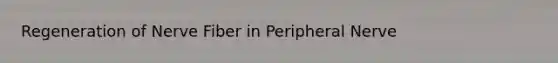 Regeneration of Nerve Fiber in Peripheral Nerve