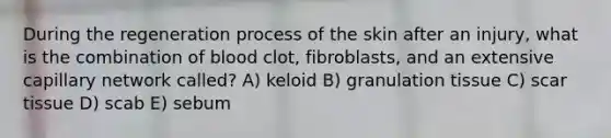 During the regeneration process of the skin after an injury, what is the combination of blood clot, fibroblasts, and an extensive capillary network called? A) keloid B) granulation tissue C) scar tissue D) scab E) sebum