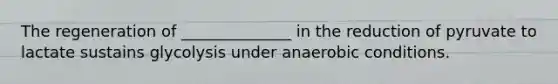 The regeneration of ______________ in the reduction of pyruvate to lactate sustains glycolysis under anaerobic conditions.