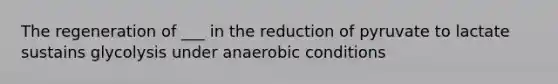 The regeneration of ___ in the reduction of pyruvate to lactate sustains glycolysis under anaerobic conditions