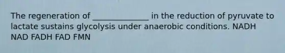 The regeneration of ______________ in the reduction of pyruvate to lactate sustains glycolysis under anaerobic conditions. NADH NAD FADH FAD FMN