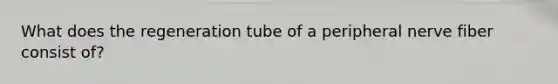 What does the regeneration tube of a peripheral nerve fiber consist of?