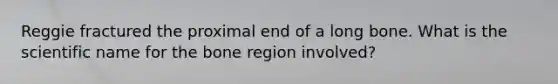 Reggie fractured the proximal end of a long bone. What is the scientific name for the bone region involved?