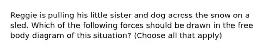 Reggie is pulling his little sister and dog across the snow on a sled. Which of the following forces should be drawn in the free body diagram of this situation? (Choose all that apply)