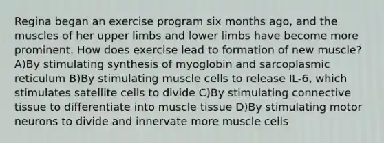 Regina began an exercise program six months ago, and the muscles of her upper limbs and lower limbs have become more prominent. How does exercise lead to formation of new muscle? A)By stimulating synthesis of myoglobin and sarcoplasmic reticulum B)By stimulating muscle cells to release IL-6, which stimulates satellite cells to divide C)By stimulating connective tissue to differentiate into muscle tissue D)By stimulating motor neurons to divide and innervate more muscle cells