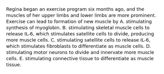 Regina began an exercise program six months ago, and the muscles of her upper limbs and lower limbs are more prominent. Exercise can lead to formation of new muscle by A. stimulating synthesis of myoglobin. B. stimulating skeletal muscle cells to release IL-6, which stimulates satellite cells to divide, producing more muscle cells. C. stimulating satellite cells to release IL-6, which stimulates fibroblasts to differentiate as muscle cells. D. stimulating motor neurons to divide and innervate more muscle cells. E. stimulating connective tissue to differentiate as muscle tissue.