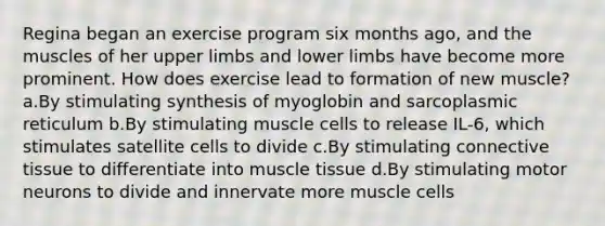 Regina began an exercise program six months ago, and the muscles of her upper limbs and lower limbs have become more prominent. How does exercise lead to formation of new muscle? a.By stimulating synthesis of myoglobin and sarcoplasmic reticulum b.By stimulating muscle cells to release IL-6, which stimulates satellite cells to divide c.By stimulating connective tissue to differentiate into muscle tissue d.By stimulating motor neurons to divide and innervate more muscle cells