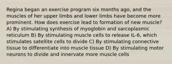 Regina began an exercise program six months ago, and the muscles of her upper limbs and lower limbs have become more prominent. How does exercise lead to formation of new muscle? ​A) By stimulating synthesis of myoglobin and sarcoplasmic reticulum​ ​B) By stimulating muscle cells to release IL-6, which stimulates satellite cells to divide ​C) By stimulating connective tissue to differentiate into muscle tissue ​D) By stimulating motor neurons to divide and innervate more muscle cells