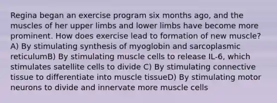 Regina began an exercise program six months ago, and the muscles of her <a href='https://www.questionai.com/knowledge/kJyXBSF4I2-upper-limb' class='anchor-knowledge'>upper limb</a>s and lower limbs have become more prominent. How does exercise lead to formation of new muscle? A) By stimulating synthesis of myoglobin and sarcoplasmic reticulumB) By stimulating muscle cells to release IL-6, which stimulates satellite cells to divide C) By stimulating <a href='https://www.questionai.com/knowledge/kYDr0DHyc8-connective-tissue' class='anchor-knowledge'>connective tissue</a> to differentiate into <a href='https://www.questionai.com/knowledge/kMDq0yZc0j-muscle-tissue' class='anchor-knowledge'>muscle tissue</a>D) By stimulating motor neurons to divide and innervate more muscle cells