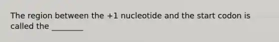 The region between the +1 nucleotide and the start codon is called the ________