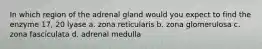 In which region of the adrenal gland would you expect to find the enzyme 17, 20 lyase a. zona reticularis b. zona glomerulosa c. zona fasciculata d. adrenal medulla