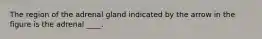 The region of the adrenal gland indicated by the arrow in the figure is the adrenal ____.