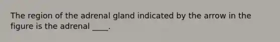 The region of the adrenal gland indicated by the arrow in the figure is the adrenal ____.