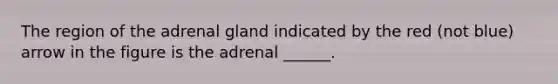 The region of the adrenal gland indicated by the red (not blue) arrow in the figure is the adrenal ______.