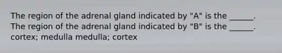 The region of the adrenal gland indicated by "A" is the ______. The region of the adrenal gland indicated by "B" is the ______. cortex; medulla medulla; cortex