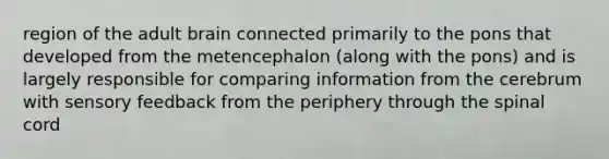 region of the adult brain connected primarily to the pons that developed from the metencephalon (along with the pons) and is largely responsible for comparing information from the cerebrum with sensory feedback from the periphery through the spinal cord