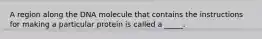 A region along the DNA molecule that contains the instructions for making a particular protein is called a _____.