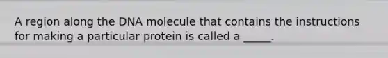 A region along the DNA molecule that contains the instructions for making a particular protein is called a _____.