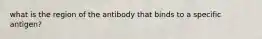 what is the region of the antibody that binds to a specific antigen?