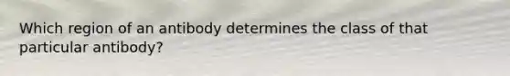 Which region of an antibody determines the class of that particular antibody?