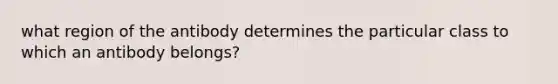 what region of the antibody determines the particular class to which an antibody belongs?