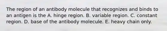 The region of an antibody molecule that recognizes and binds to an antigen is the A. hinge region. B. variable region. C. constant region. D. base of the antibody molecule. E. heavy chain only.