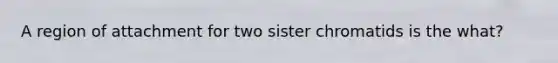 A region of attachment for two sister chromatids is the what?