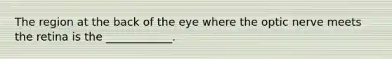 The region at the back of the eye where the optic nerve meets the retina is the ____________.