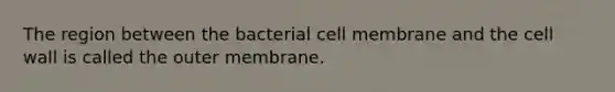 The region between the bacterial cell membrane and the cell wall is called the outer membrane.