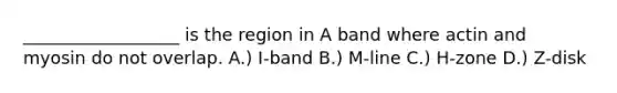 __________________ is the region in A band where actin and myosin do not overlap. A.) I-band B.) M-line C.) H-zone D.) Z-disk