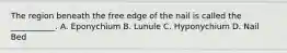 The region beneath the free edge of the nail is called the ___________. A. Eponychium B. Lunule C. Hyponychium D. Nail Bed