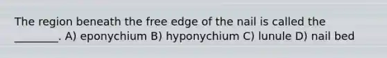 The region beneath the free edge of the nail is called the ________. A) eponychium B) hyponychium C) lunule D) nail bed