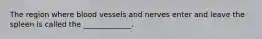 The region where blood vessels and nerves enter and leave the spleen is called the _____________.