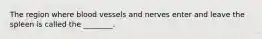 The region where blood vessels and nerves enter and leave the spleen is called the ________.
