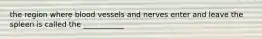 the region where blood vessels and nerves enter and leave the spleen is called the ___________