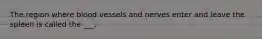 The region where blood vessels and nerves enter and leave the spleen is called the ___.