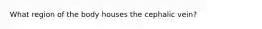 What region of the body houses the cephalic vein?