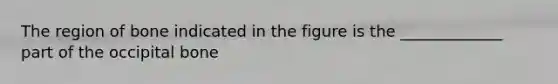 The region of bone indicated in the figure is the _____________ part of the occipital bone