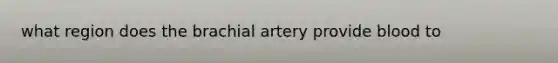 what region does the brachial artery provide blood to